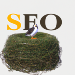 SEO Nest: Ein umfassender Leitfaden zum erfolgreichen Positionieren Ihrer Website