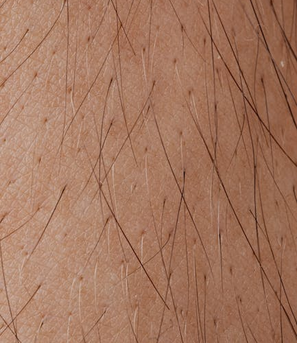 Tipps und Tricks: Wie lassen sich die Haare schneller wachsen? – Ein Leitfaden für verbessertes SEO